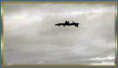 BlueAngel31018 (123).jpg